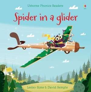 Spider in a Glider de Lesley Sims