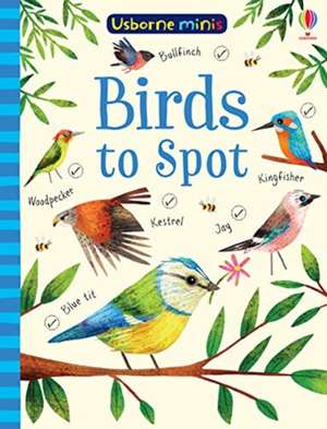 Birds to Spot de Kirsteen Robson