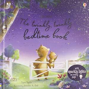 Twinkly Twinkly Bedtime Book de Sam Taplin