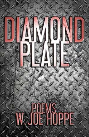 Diamond Plate: Book Two of the Love's Territory Series de W. Joe Hoppe