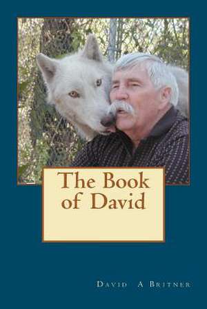 The Book of David de David A. Britner