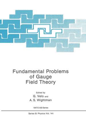 Fundamental Problems of Gauge Field Theory de G. Velo