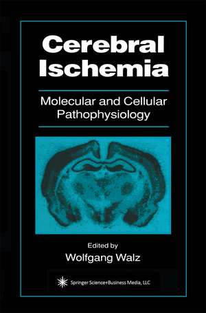 Cerebral Ischemia: Molecular and Cellular Pathophysiology de Wolfgang Walz