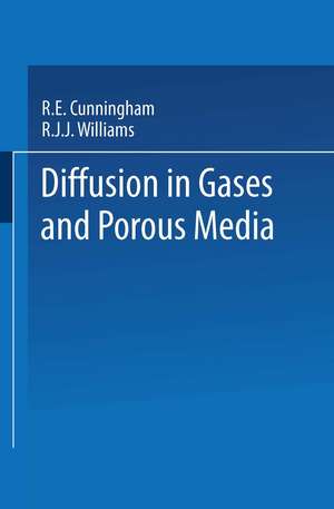 Diffusion in Gases and Porous Media de Roberto Cunningham