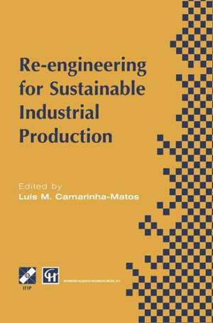 Re-engineering for Sustainable Industrial Production: Proceedings of the OE/IFIP/IEEE International Conference on Integrated and Sustainable Industrial Production Lisbon, Portugal, May 1997 de Luis M. Camarinha-Matos