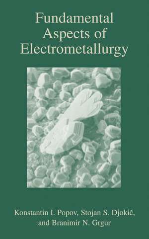 Fundamental Aspects of Electrometallurgy de Konstantin Popov