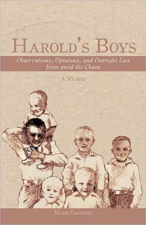 Harold's Boys de Mark Gaedtke