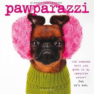 PAWPARAZZI 2019 SQUARE WALL CALENDAR de GRAPHIQUE