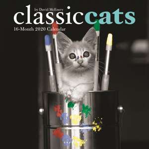 Classic Cats - Klassische Katzen 2020 - 16-Monatskalender