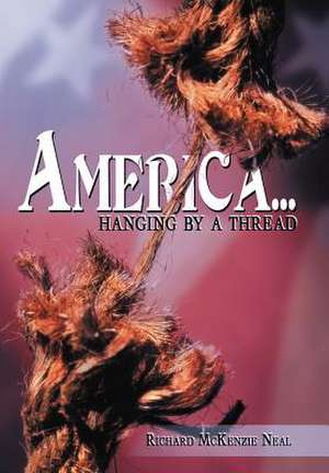 America... de Richard Mckenzie Neal