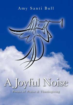 A Joyful Noise de Amy Santi Bull