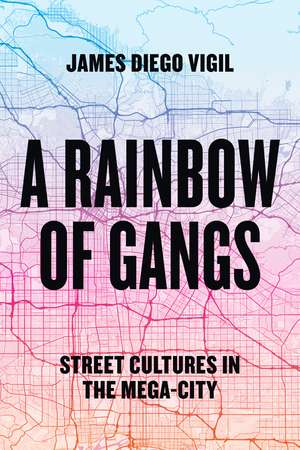 A Rainbow of Gangs: Street Cultures in the Mega-City de James Diego Vigil