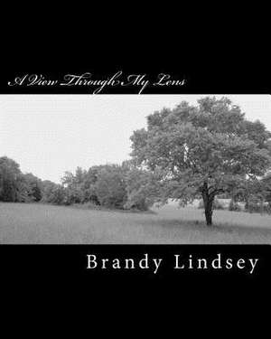 A View Through My Lens de Brandy Lindsey