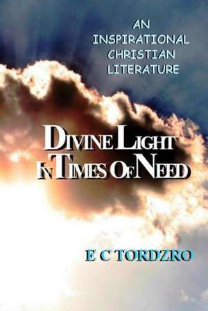 Divine Light in Times of Need de MR E. C. Tordzro