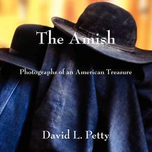 The Amish de MR David L. Petty