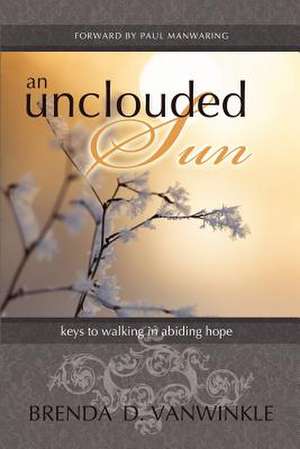 An Unclouded Sun de Brenda D. Vanwinkle