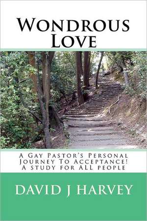 Wondrous Love: A Gay Pastor's Personal Journey to Acceptance! a Study for All People de MR David J. Harvey