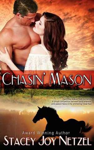 Chasin' Mason de Stacey Joy Netzel