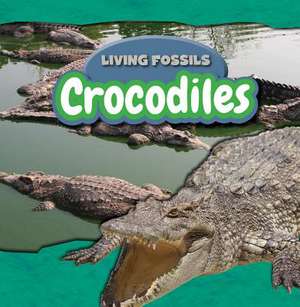 Crocodiles de Therese Shea