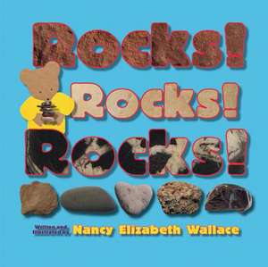 Rocks! Rocks! Rocks! de Nancy Elizabeth Wallace