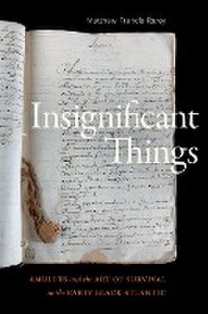 Insignificant Things – Amulets and the Art of Survival in the Early Black Atlantic de Matthew Francis Rarey