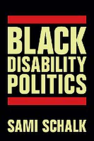 Black Disability Politics de Sami Schalk