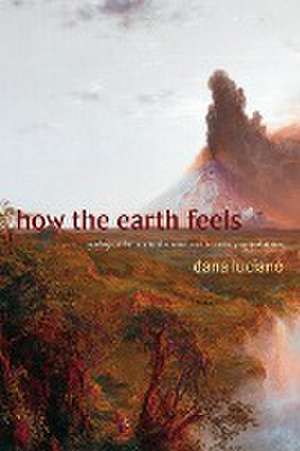 How the Earth Feels – Geological Fantasy in the Nineteenth–Century United States de Dana Luciano