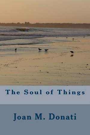 The Soul of Things de Joan M. Donati