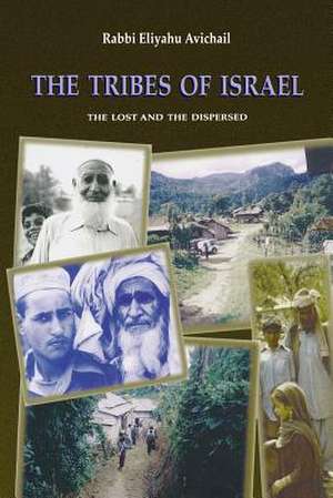 The Tribes of Israel de Rabbi Eliyahu Avichail