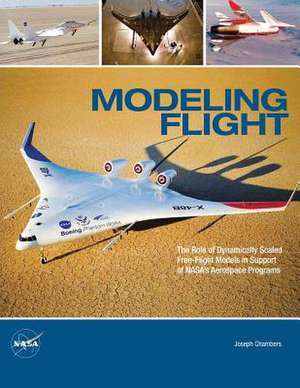 Modeling Flight de Joseph R. Chambers