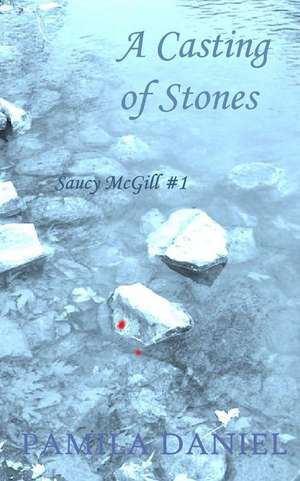 A Casting of Stones de Daniel, Pamila