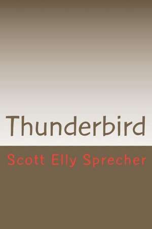 Thunderbird: A Millennial's Manifesto de MR Scott Elly Sprecher