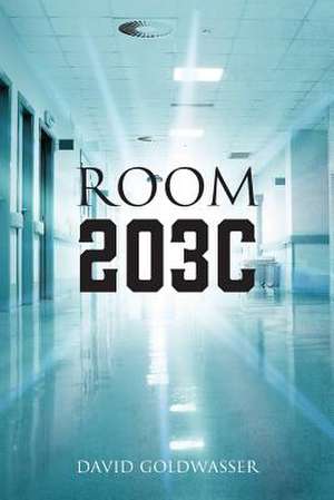 Room 203C de David Goldwasser