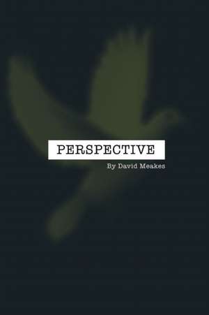 Perspective de David Meakes