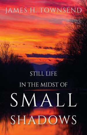 Still Life in the Midst of Small Shadows de James H Townsend