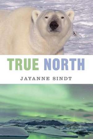 True North de Jayanne Sindt