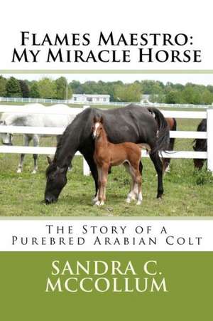 Flames Maestro: The Story of a Purebred Arabian Colt de MS Sandra C. McCollum