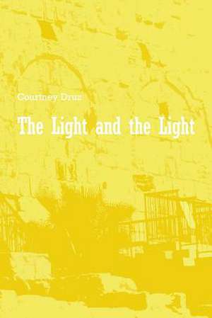 The Light and the Light de Courtney Druz