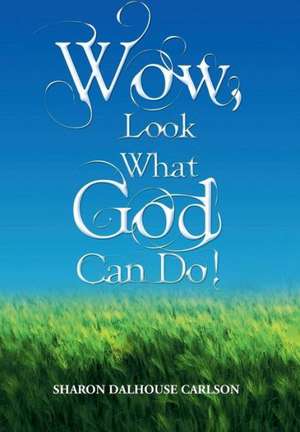 Wow, Look What God Can Do! de Sharon Dalhouse Carlson