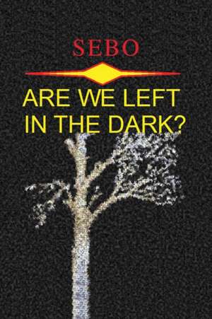 Are We Left in the Dark? de Sebo