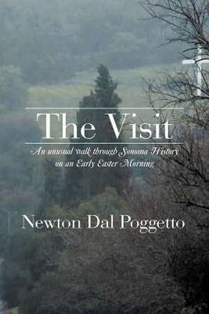 The Visit de Newton Dal Poggetto