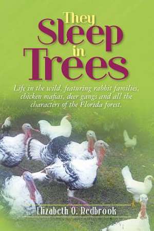 They Sleep in Trees de Elizabeth O. Redbrook