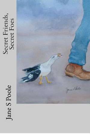 Secret Friends, Secret Foes de Jane S. Poole