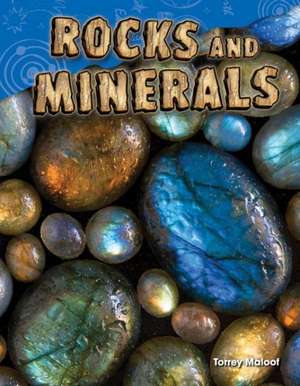 Rocks and Minerals (Grade 2) de Torrey Maloof