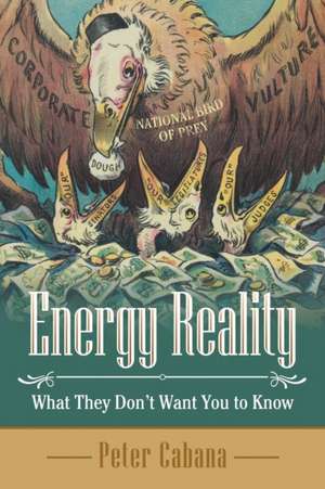 Energy Reality de Peter Cabana