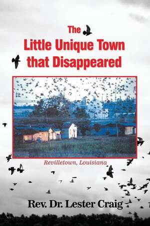 The Little Unique Town that Disappeared de Lester Craig