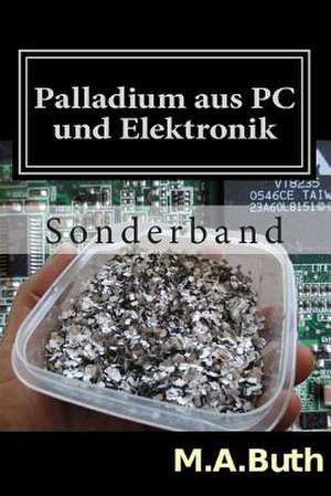 Palladium Aus PC Und Elektronik de M. A. Buth