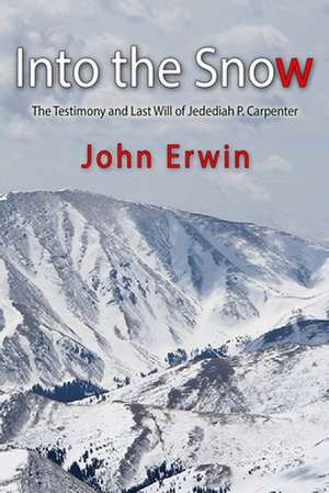 Into the Snow de John Erwin