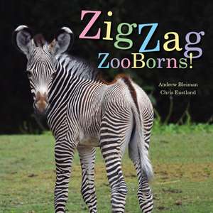 Zigzag Zooborns de Andrew Bleiman