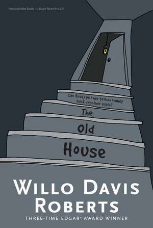 The Old House de Willo Davis Roberts